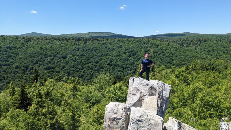 A person stands atop a rocky outcrop, seemingly a natural rock formation, with a dense forest stretching out behind them. The sky is clear and blue, suggesting a sunny day. The person appears to be enjoying a scenic view from a high vantage point, possibly a mountain or a cliff.